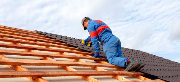 Best Roof Maintenance and Cleaning  in Silver Lake, NJ